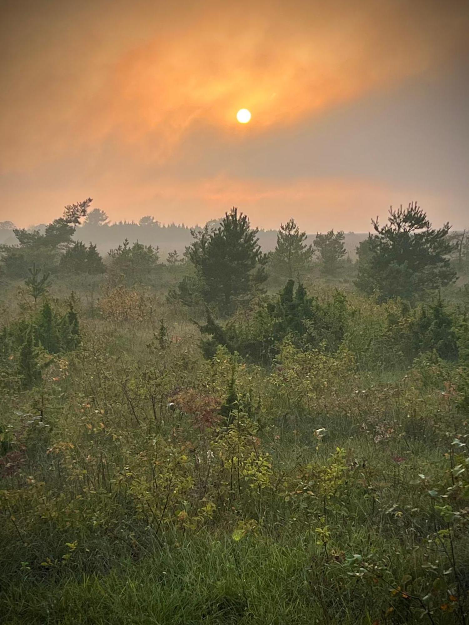Kivika Villa Lahe Buitenkant foto